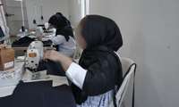 دو هزار و 900 نفر در استان همدان آموزش های مهارتی را فراگرفتند
